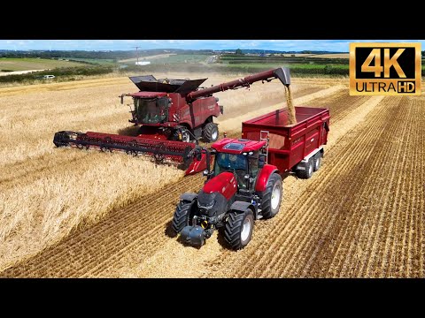 4K 2025 NEW XL CASE Combine & Tractor Harvesting Barley NOTTINGHAMSHIRE