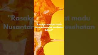 Download lagu Jual madu nusantara online Kota Balikpapan WA: 0831-7239-7127 mp3
