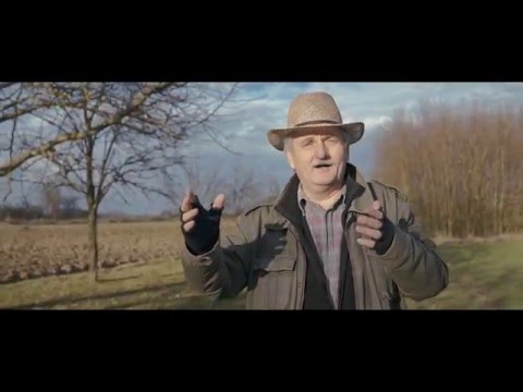 ŠIMA JOVANOVAC - ŠTA KOG' BRIGA KAKO ŽIVIM (OFFICIAL VIDEO)