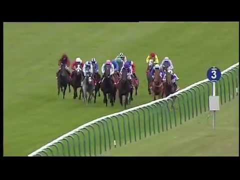 Twice Over - Emirates Champion Stakes 2009