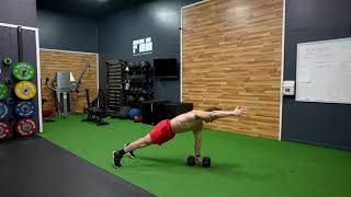 Single Arm Dumbbell Plank exercise video thumbnail