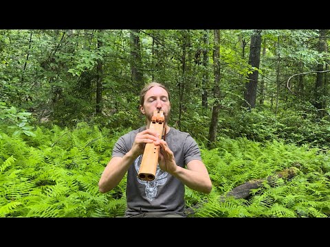 3 Minutes of Peace - Cherry Drone Flute in the Ferns