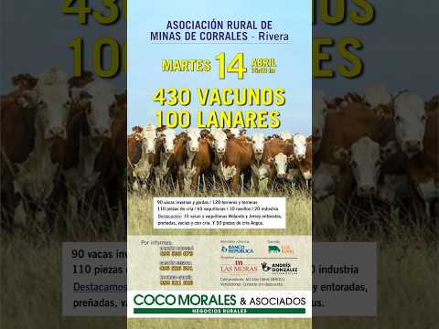 14/04/2026 Rural de Minas de Corrales - Feria mensual - Coco Morales & Asociados