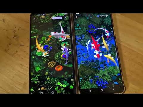 KoiAqua 3D Pond Live Wallpaper