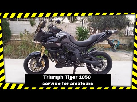 Triumph Tiger 1050 service for amateurs | Complete