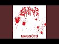 Maggots (30th Anniversary Remix)