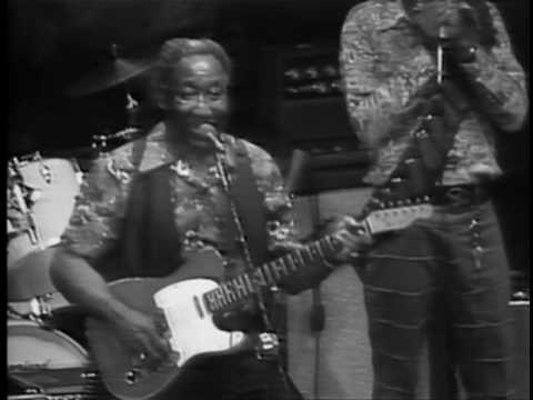 Muddy Waters - She's Nineteen Years Old - ChicagoFest 1981