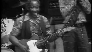 Muddy Waters - She&#39;s Nineteen Years Old - ChicagoFest 1981