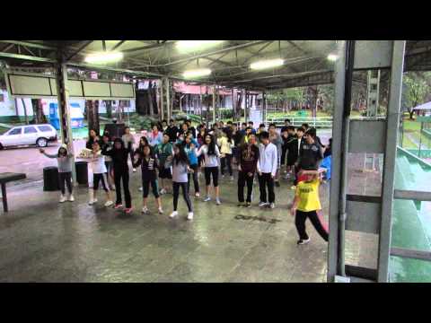 Acanto Nippon Tenis 2014 - Dança Recreativa É verão 3