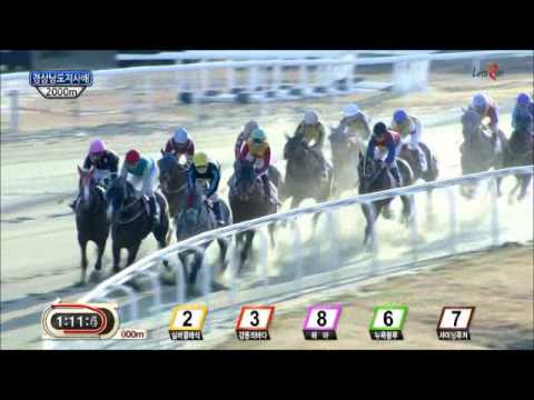 Gyeongnam Governor's Cup 2014 - English commentary