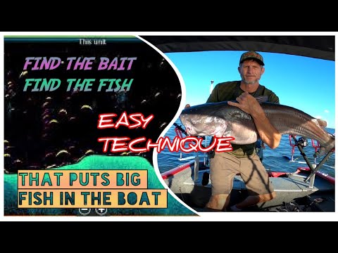 HOW TO FIND BIG SUMMER CATFISH