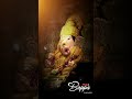 Odh Sathli Dolyat Man Bhetila Aatur He Bappa Status Viral Trending Status Video Shortvideo
