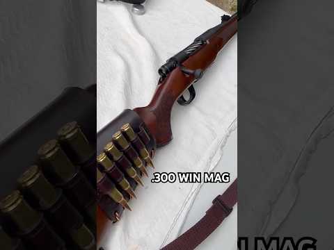 Is this THE best cartridge for hunting? (.300 Winchester Magnum)  #hunting #airsoft #gaming #cod