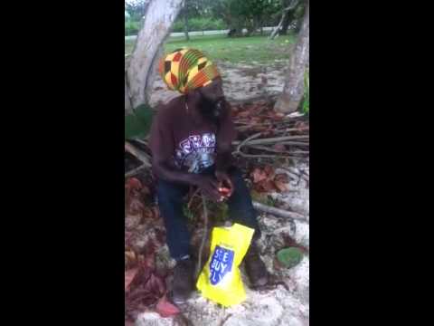 High Priest Ellis holdin a Vibe at the beach...