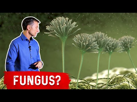 The 9 Symptoms of Sleep Deprivation