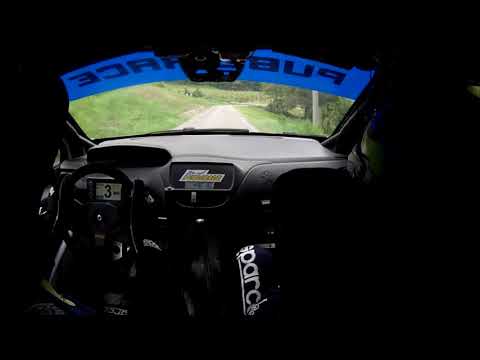 RALLY CITTA' DI MODENA 2018 - TURRINI M. - BUCCIARELLI M. PS8 208 R2B