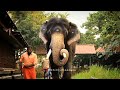 കൊല്ലത്തിന്റെ വരുംകാല യുവരാജാവ് പേര�