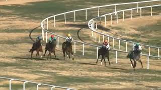 INQUIRY !!!. JOCKEYS HAD TO WAIT FOR A WHILE  FOR THE RESULTS -  R7 TURF PARADISE  USA 03 FEB 2026