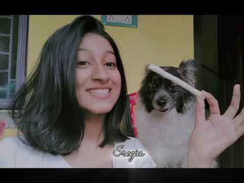 Never messing up with her fav treat 🦴😓