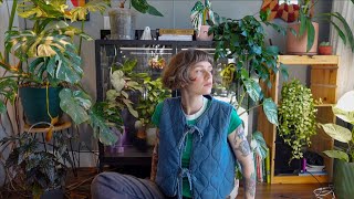 an update on all of the plants 🌿