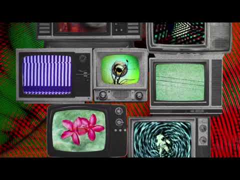 The Shelters - Can't Go Home [Official Visualizer]