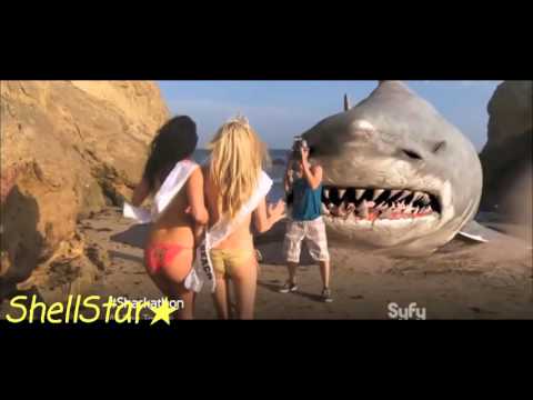 The Ultimate Shark Movie Tribute Full HD