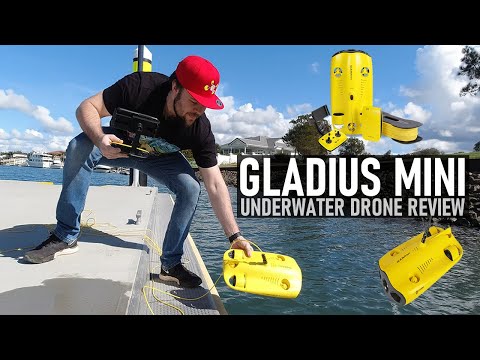 Povandeninins dronas Chasing Dory video