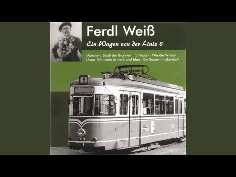 Ein Wagen Von Der Linie 8