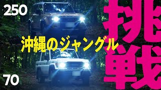 【沖縄国立公園！】ランクル70と250でやんばるの森を走破中に幻の生き物と遭遇！？豊かな自然環境を楽しめる整備された林道【ランクルジャングルクルーズ】