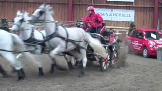 preview picture of video 'Carriage Driving Fair 2013'
