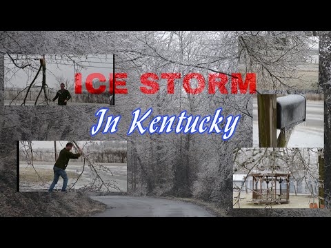 ICE STORM IN KENTUCKY 2021 | How it is down here in Boyle County, Kentucky | Boo and Bailey
