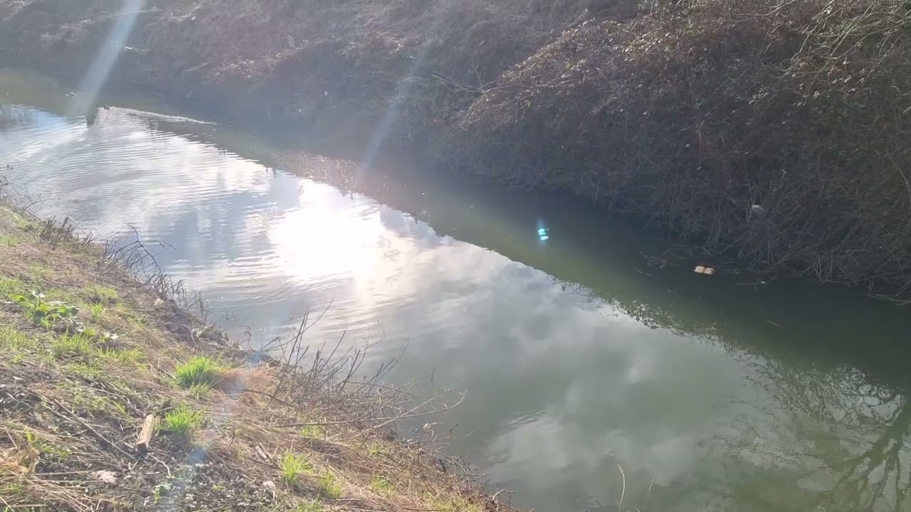 T R A N S I T I O N - A Short Film