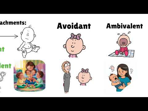 Ainsworth's Strange Situation Experiment: Understanding Attachment in Infants