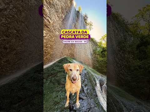 😱ATENÇÃO!!! ILHA no meio da trilha na #cascatadapedraverde #andredarocha