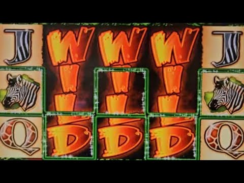 The Wild Life Max Bet live play