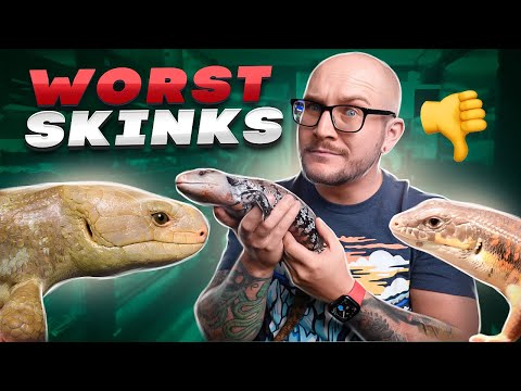 Top 5 WORST Pet Skinks! Get THESE Lizards Instead!