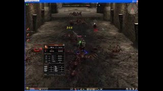 Metin2CZ Warrion2-expení v c1