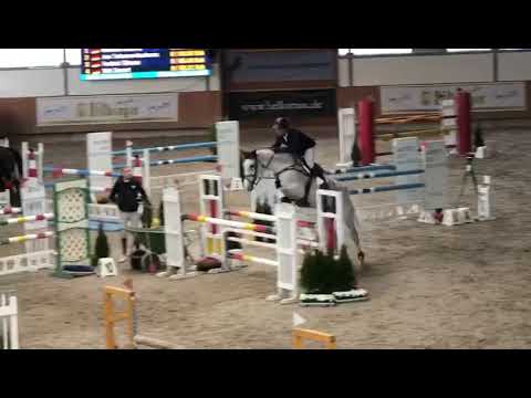 SOLD Call me Claus 10 y/o gleding by Cancara X Ludwig von Bayern placed up to 140