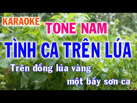 Karaoke Tình Ca Trên Lúa Tone Nam Nhạc Sống - Phối Mới Dễ Hát - Nhật Nguyễn