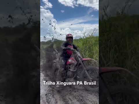 Trilha Vila Jussara Água Azul do Norte PA