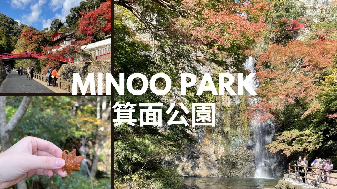 Take a virtual journey through Minoo Park, exploring its serene trails and stunning waterfalls!