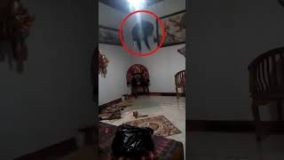 Download lagu Malam jum'at kliwon barongan bergerak sendiri mp3