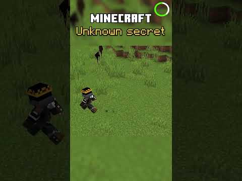 Unbelievable Minecraft Secrets Revealed! #shorts