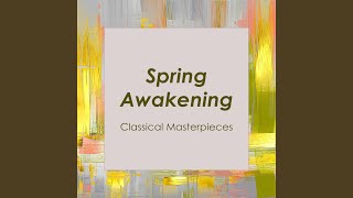 Chopin: 3 Nouvelles études, KK IIb/3: No. 2 in D-Flat Major