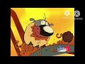 Qué Historia Tan Maravillosa El Show Foe Paws