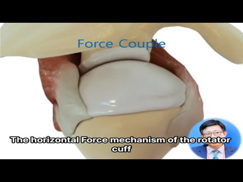 Horizontal force couple mechanism : Shoulder Rotator Cuff