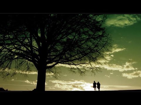 Jesuit Post's "One-Minute Homily": God's Road Map