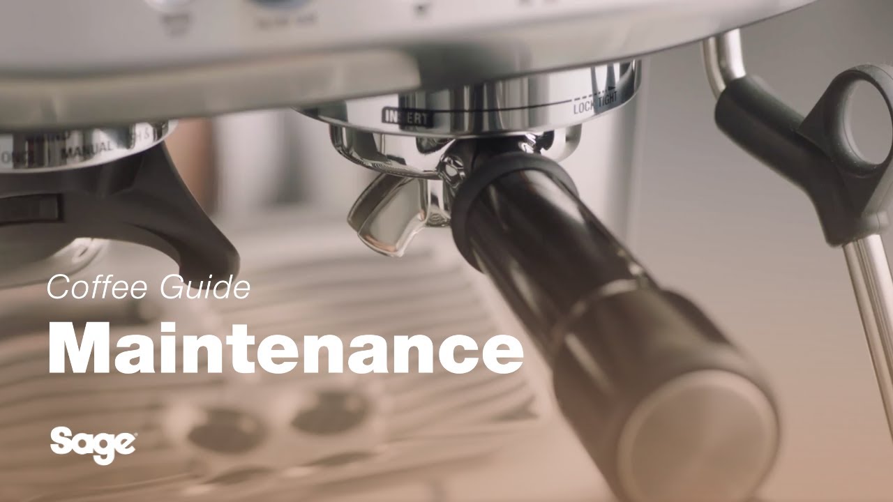 How to perform a cleaning cycle