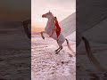 Winter 2023 Campaign Featuring Kendall Jenner Stella McCartney