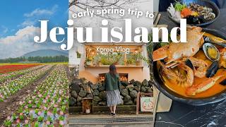 3 day Trip to Jeju Island Without a Car| Flower fields, aesthetic cafes, what I ate| Korea VLOG